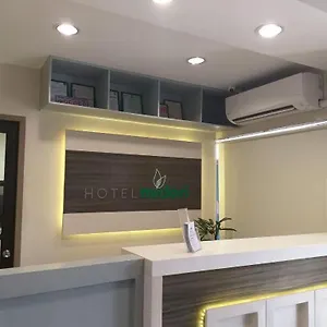 Midori Davao